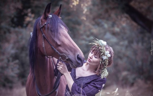 Девушка с лошадью