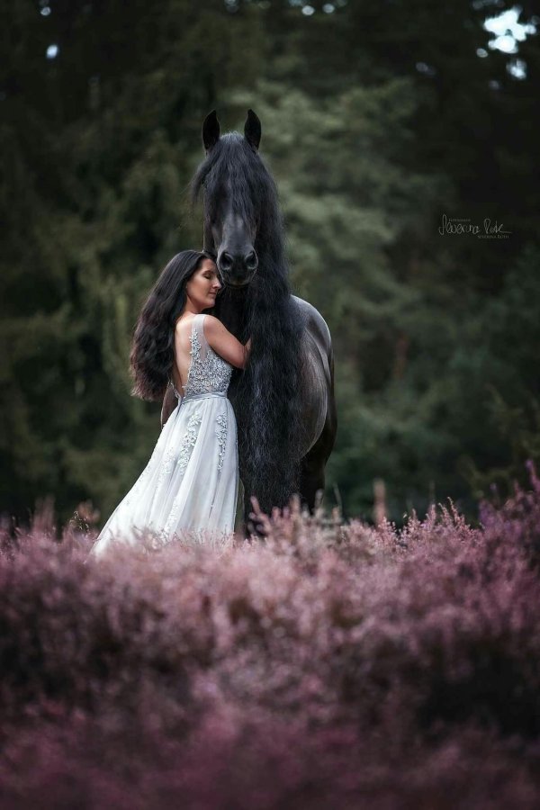 Девушка с лошадью