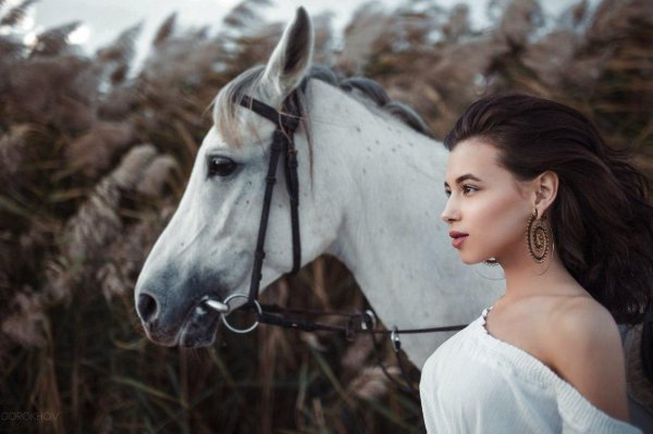 Девушка с лошадью