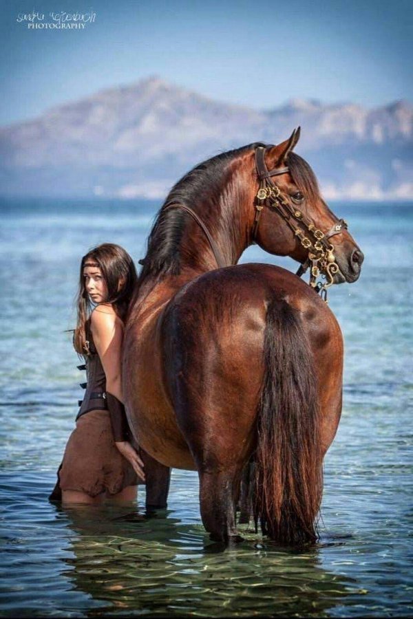 Девушка с лошадью