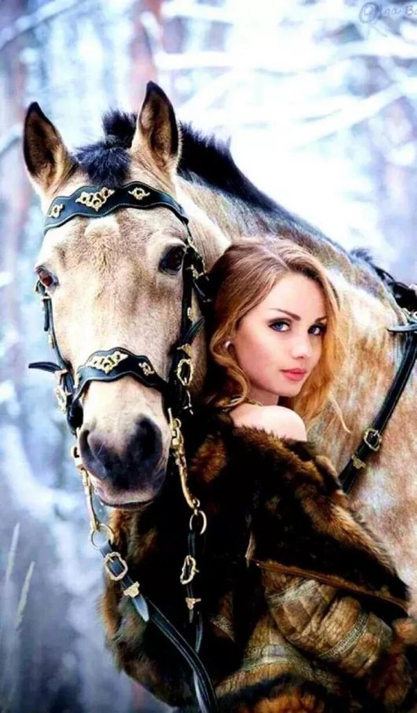 Девушка с лошадью