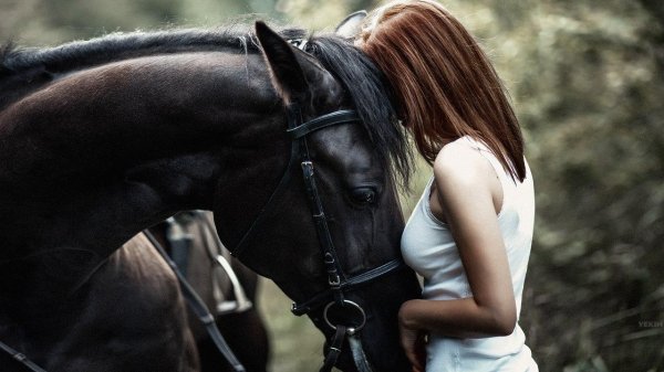 Девушка с лошадью