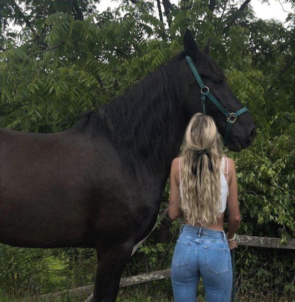 Девушка с лошадью