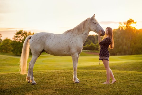 Девушка с лошадью