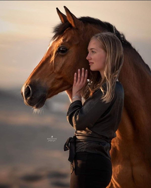 Девушка с лошадью