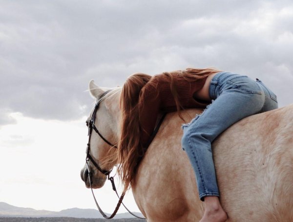 Девушка с лошадью