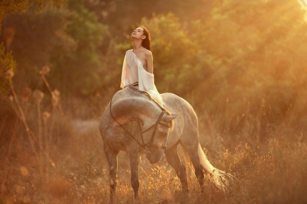 Девушка с лошадью