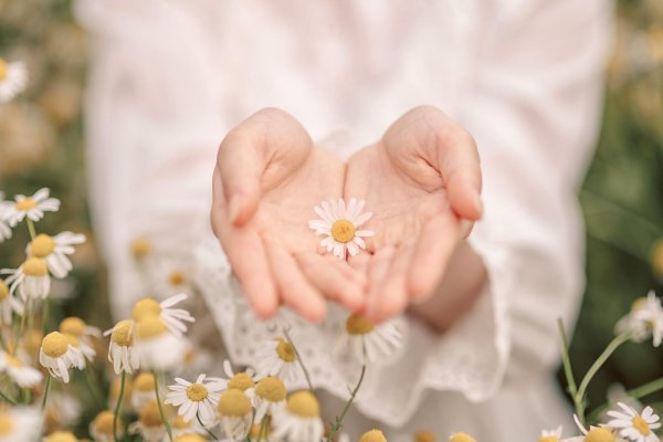 Девушка с ромашками