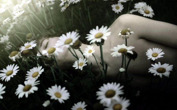 Девушка с ромашками