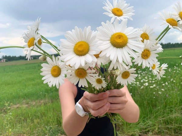 Девушка с ромашками