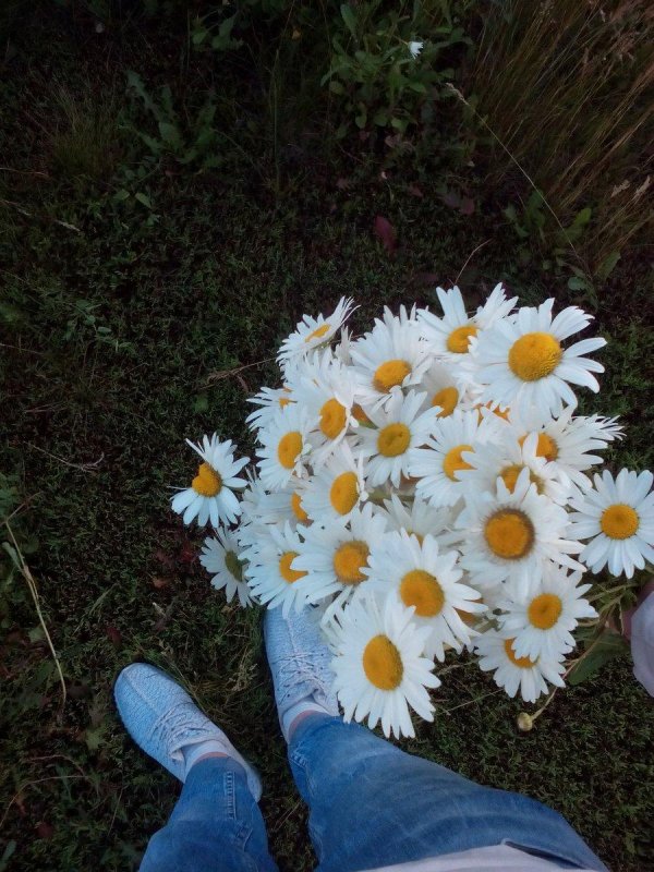 Девушка с ромашками