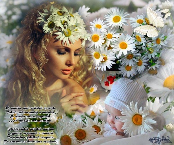 Девушка с ромашками