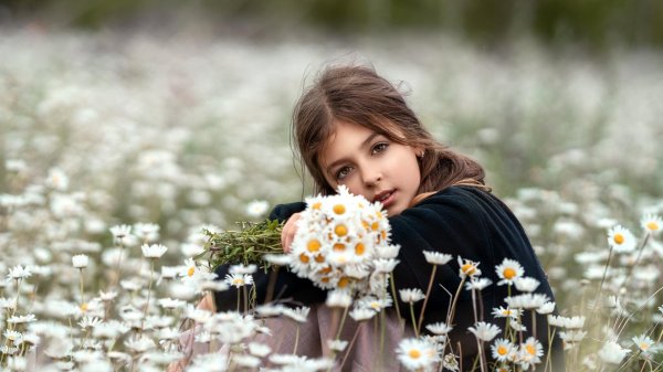 Девушка с ромашками