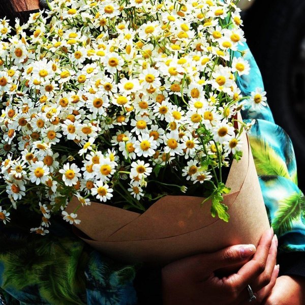 Девушка с ромашками