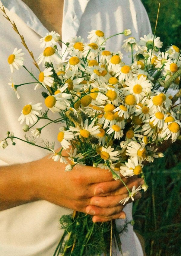 Девушка с ромашками