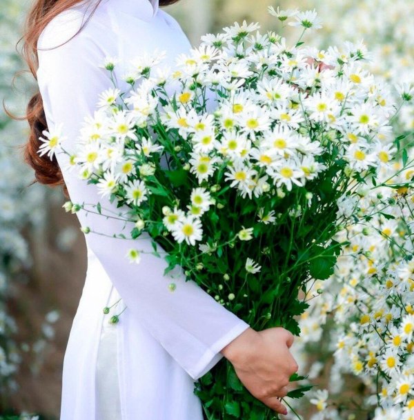 Девушка с ромашками