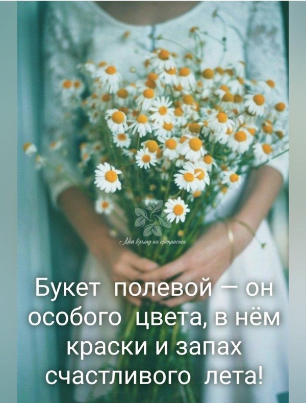 Девушка с ромашками