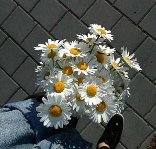 Девушка с ромашками