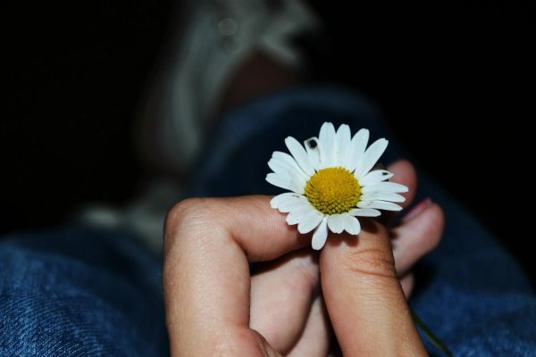 Девушка с ромашками