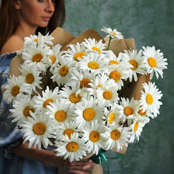 Девушка с ромашками