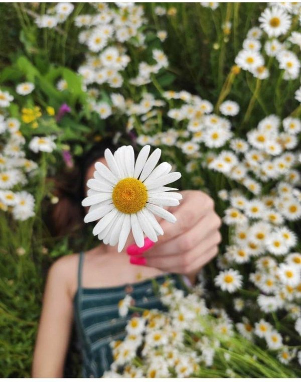 Девушка с ромашками