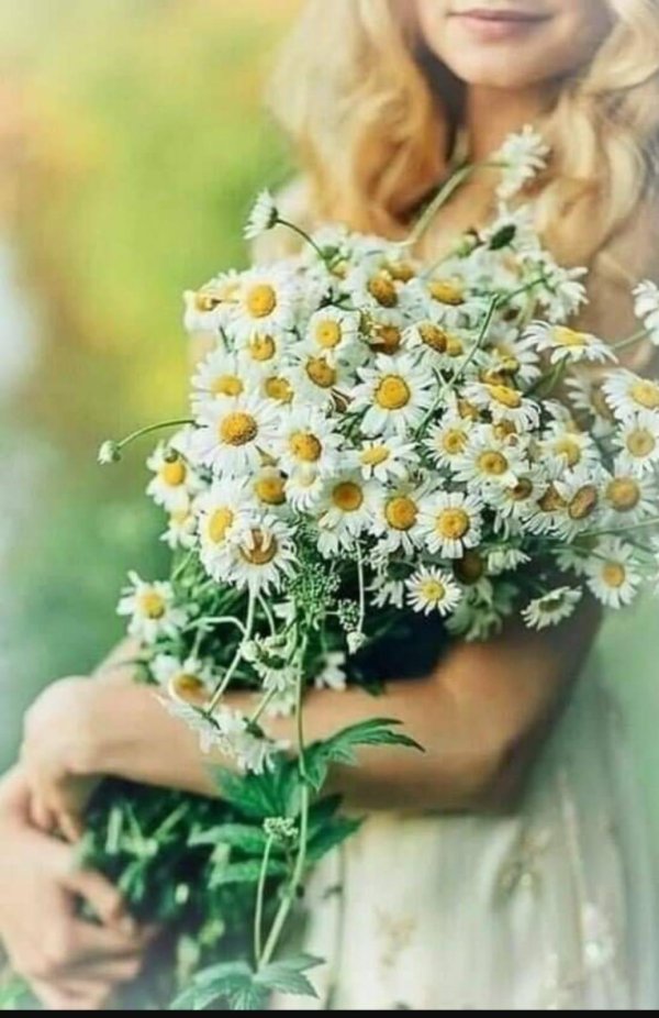букет ромашек