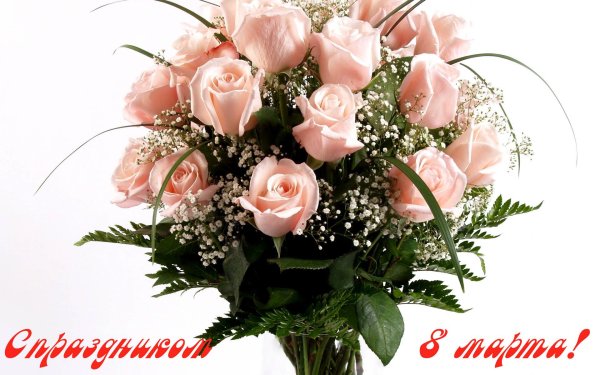 поздравительная открытка