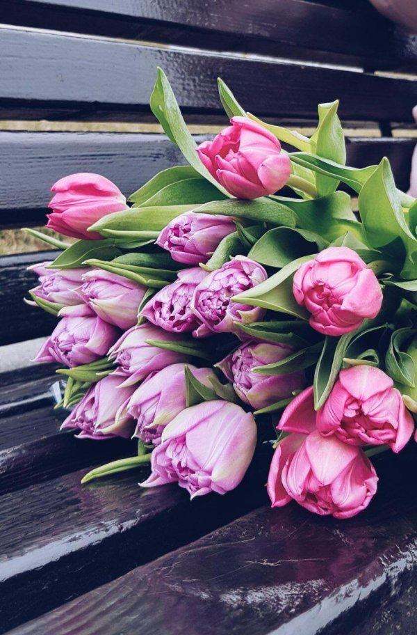 пионовидные тюльпаны