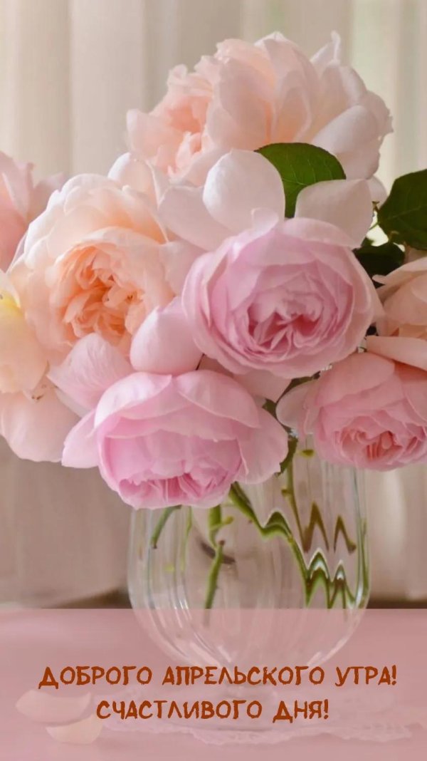 доброе пожелание