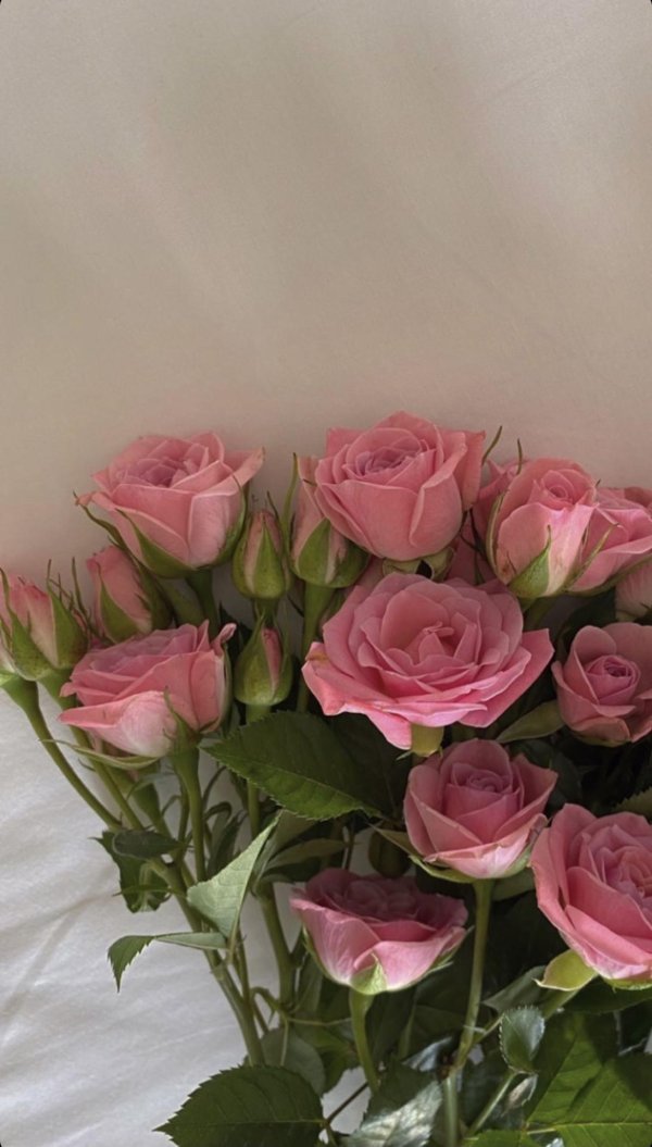 роза спрей одилия