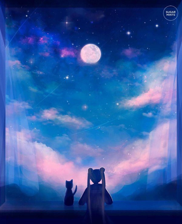 Звездное небо и девушка