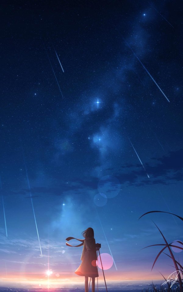 Звездное небо и девушка