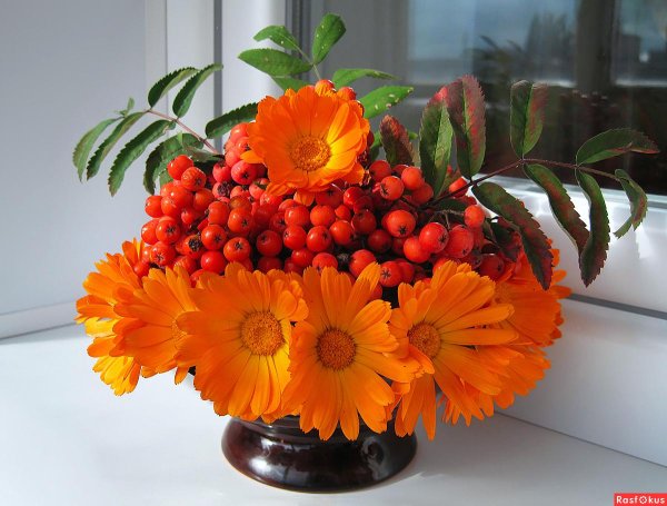 букет осенних цветов