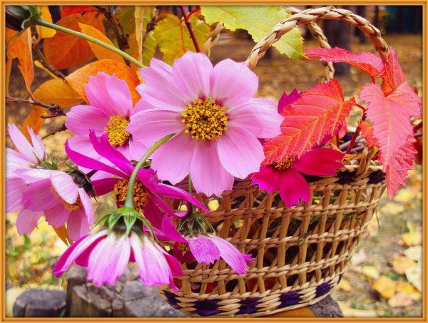 открытка с осенними цветами