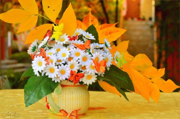 ариэль бюто цветы осени