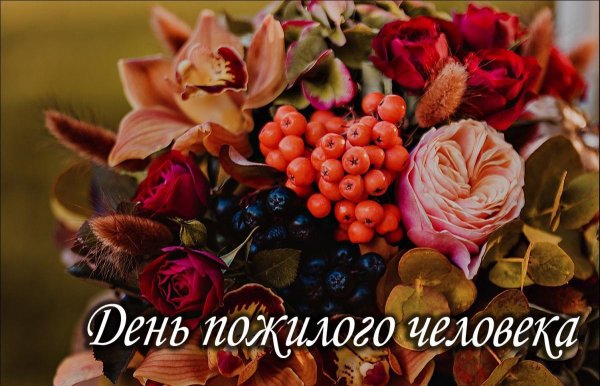 поздравление на день пожилого человека