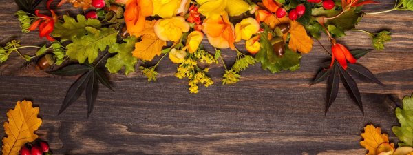 фон осенний