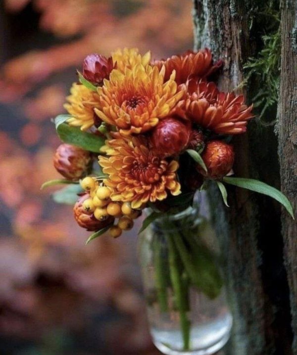 цветок осенний