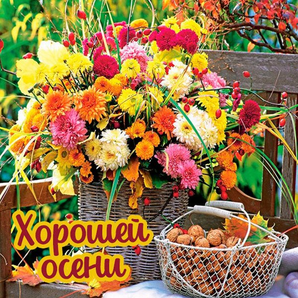 открытка с осенними цветами