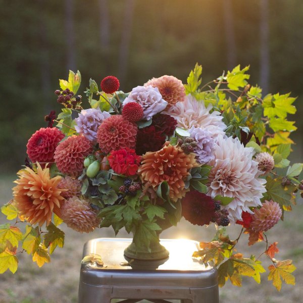 осенние цветочные композиции