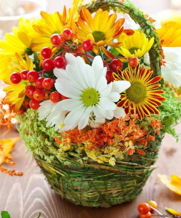 осенние цветочные композиции