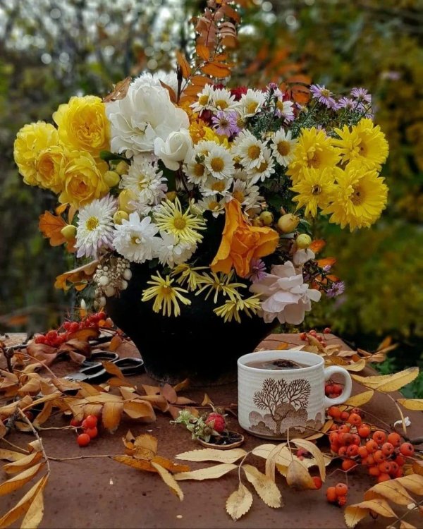 доброго утра осени