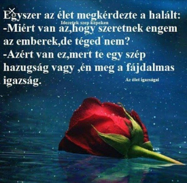 Девушка ночь