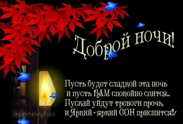 Девушка ночь