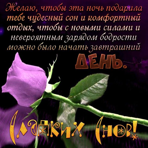 Девушка ночь