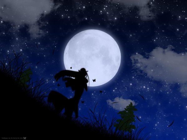 Девушка ночь