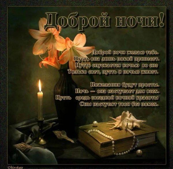 Девушка ночь