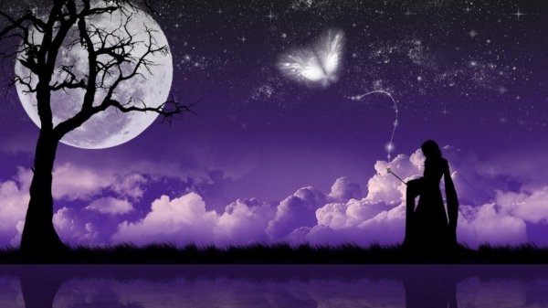 Девушка ночь