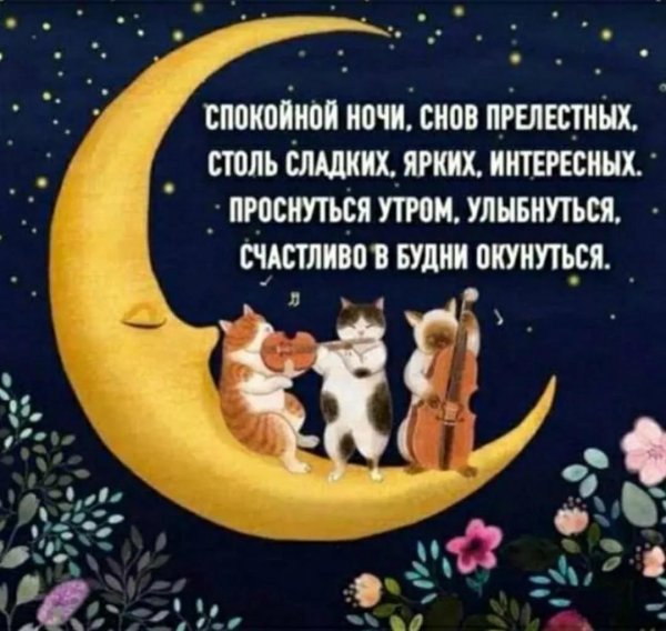 Девушка ночь