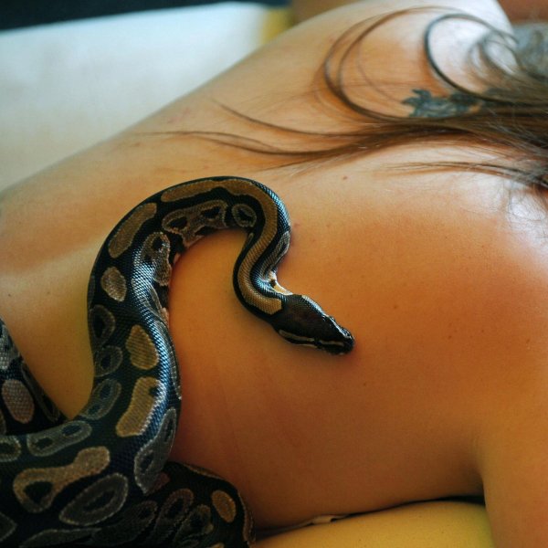 Девушка змея